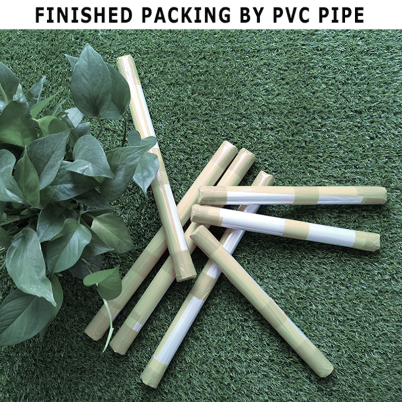 1pc frameless Canvas Painting  - Photography Hobby บทวิจารณ์และราคา